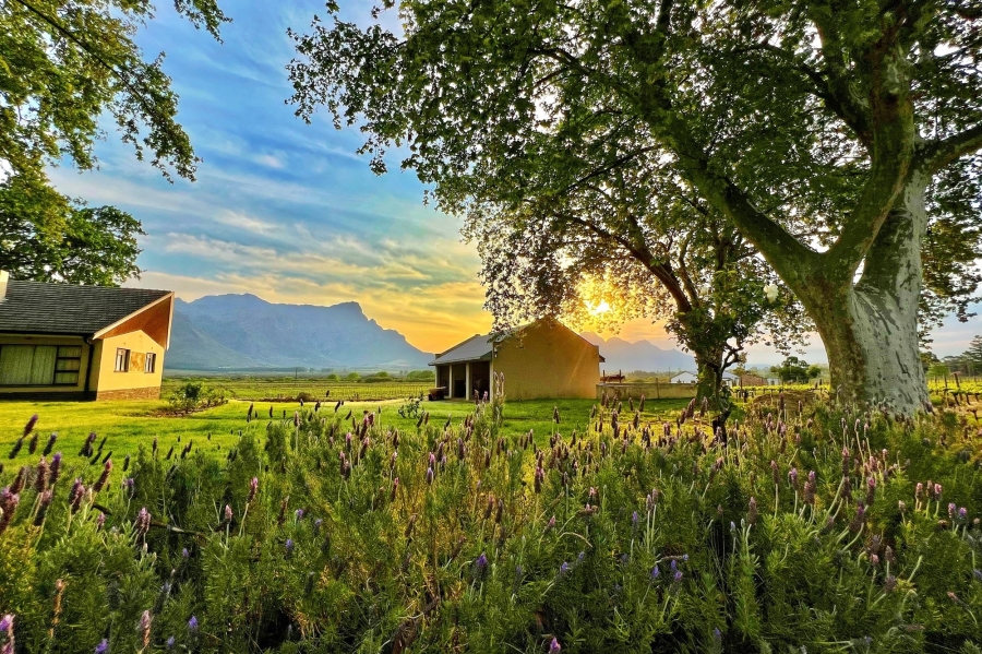 0 Bedroom Property for Sale in Franschhoek Rural Western Cape